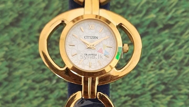 Citizen Ladies Watches