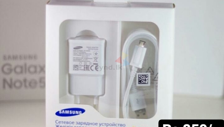 Samsung Original Charger