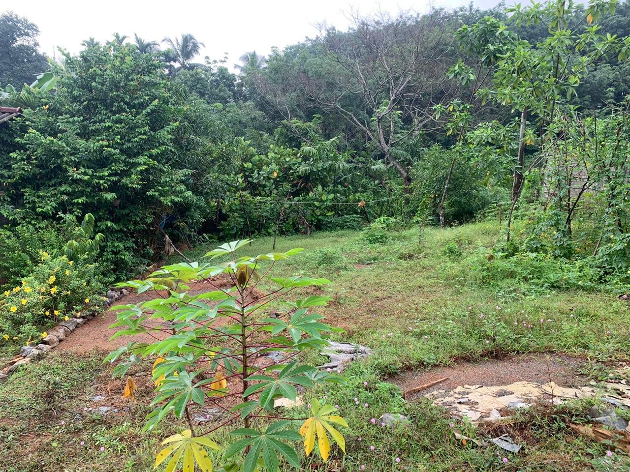 Land For Sale in Kosgama