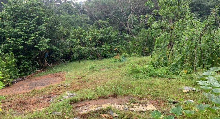 Land For Sale in Kosgama