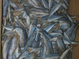 Dry Fish for Lowest Price