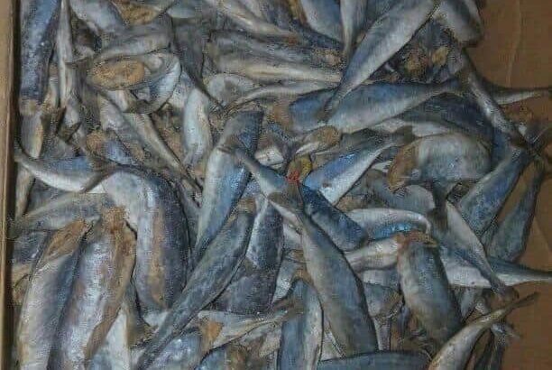 Dry Fish for Lowest Price