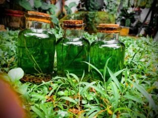 Natural Herbal Oil