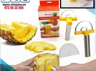 PINEAPPLE CUT & CORE