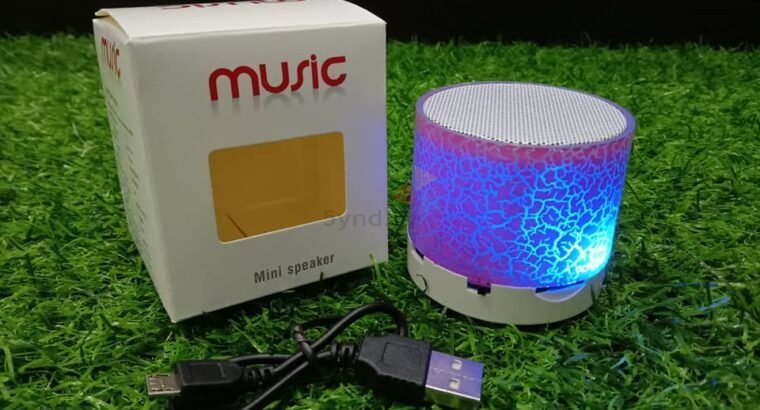 Mini Bluetooth Speaker