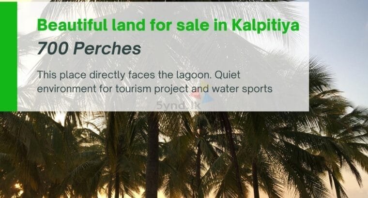 700 perches Coconut Land, Available For Immediate Sale In Kalpitiya