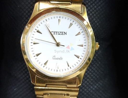 Citizen Men’s Watches