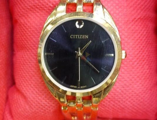 Citizen Men’s Watches