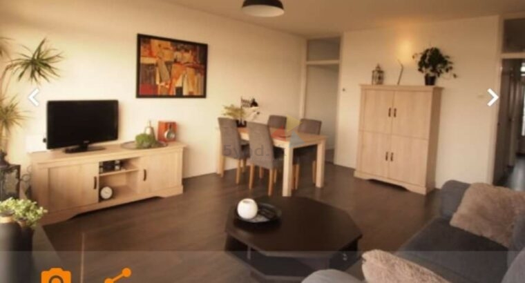House For Sale or Rent In Amsterdam