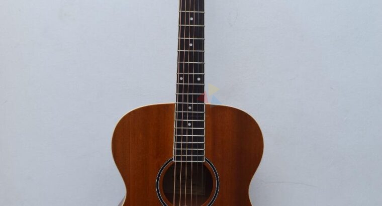 Acoustic Guitar – Aiersi