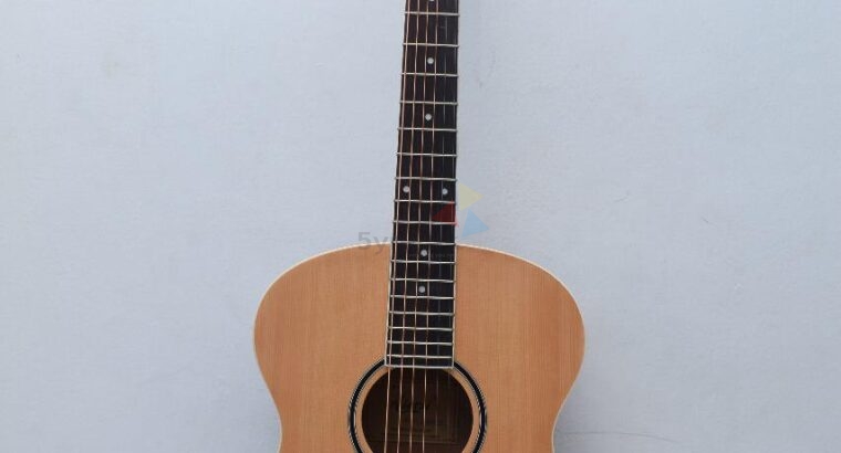 Acoustic Guitar – Aiersi