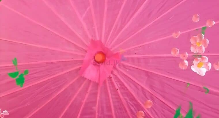 Chinese Umbrella For Sale