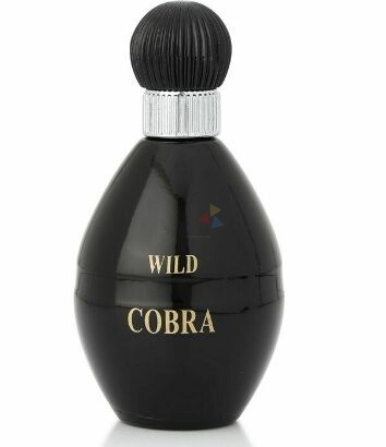 Branded Wild Cobra Wild Cobra perfume