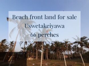 Beach Front Land For Sale Uswetakeiyawa Wattala