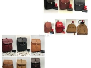 Ladies hand bags