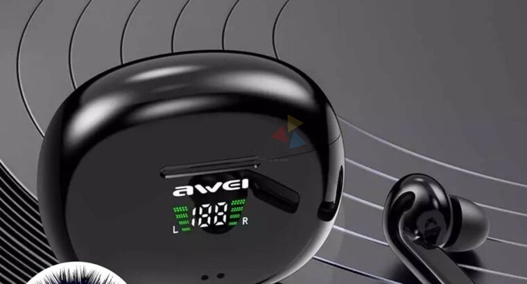 WIRELESS EARBUDS