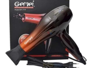 Gemei GM-1719 Professional Hair Dryer
