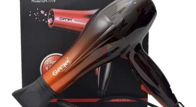 Gemei GM-1719 Professional Hair Dryer