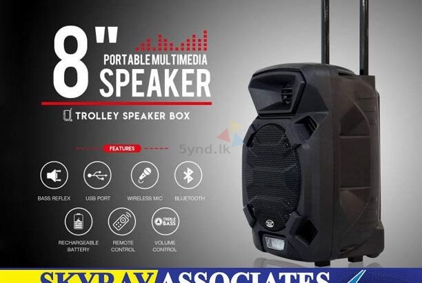 Bluetooth Portable Trolley Speaker Audio USB TF BT Karaoke