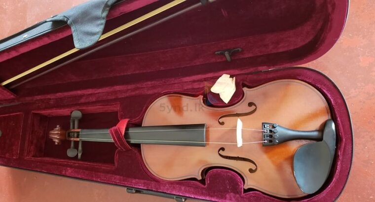 Rolings violin
