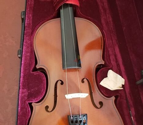 Rolings violin