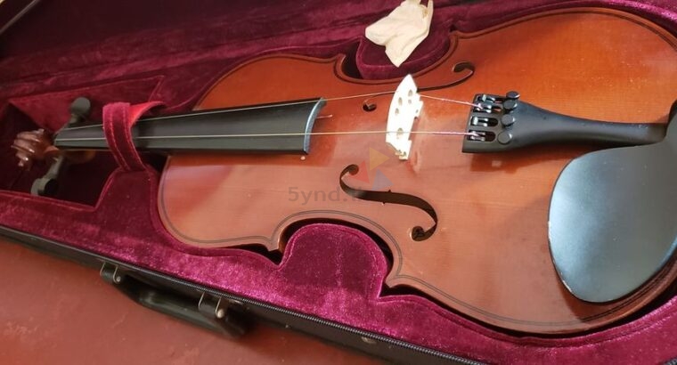 Rolings violin