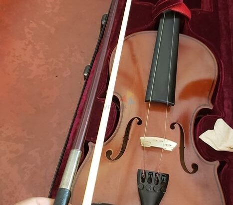Rolings violin