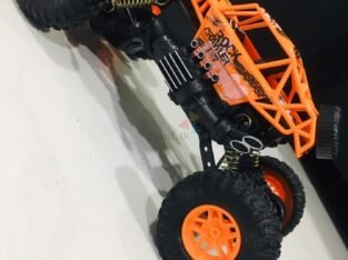 RC 2WD Rock Crawler