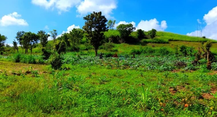 15 Acres Land For Sale – Matale