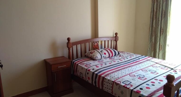 Fully Furnished Apartment Rent in Colombo 6