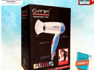 Gemei GM-1709 Hair Dryer