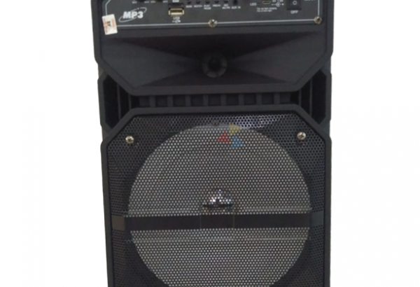 Bluetooth Portable Trolley Speaker Audio USB TF BT Karaoke