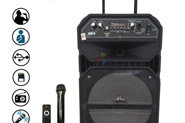 Bluetooth Portable Trolley Speaker Audio USB TF BT Karaoke