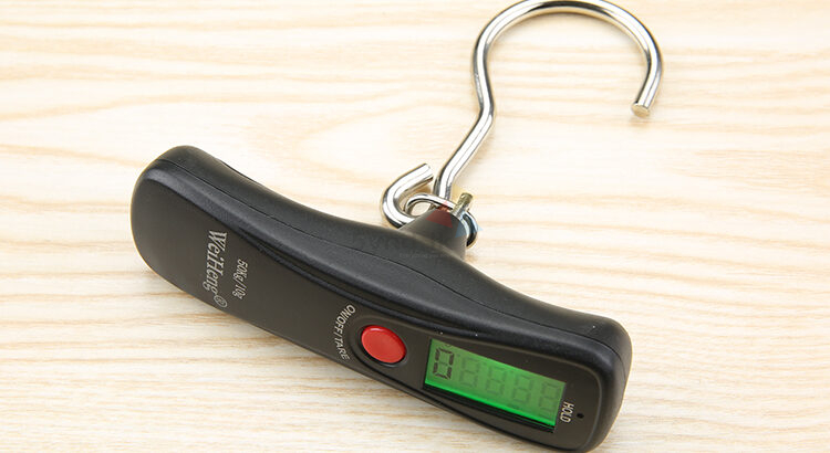 Digital Luggage Scale