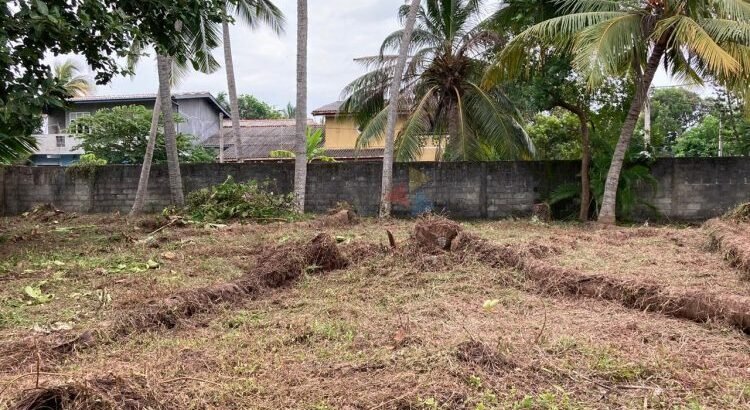 Land For Sale In Rathmalana