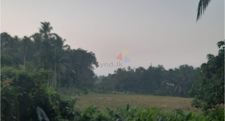 Land For Sale In Kadawatha