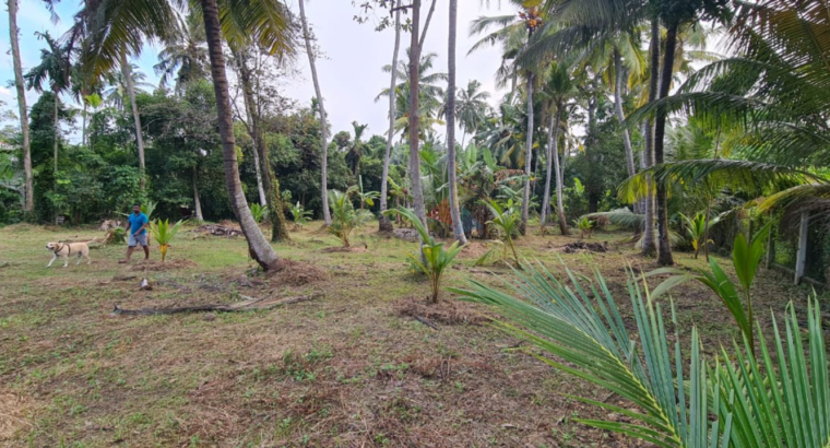 Land For Sale In Kandana