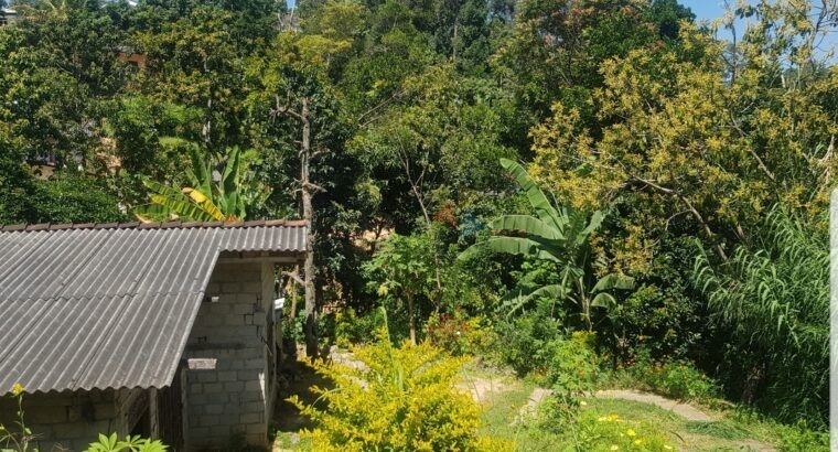 Land and House for Sale Welimada