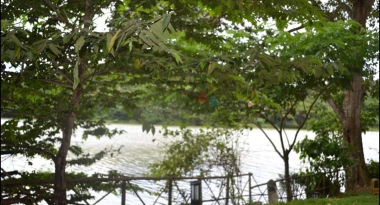 House For Rent Kandy-Thalwatta