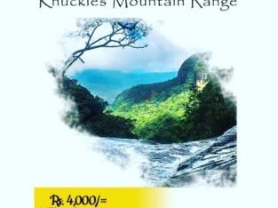 Adventure On Knuckle Mountain