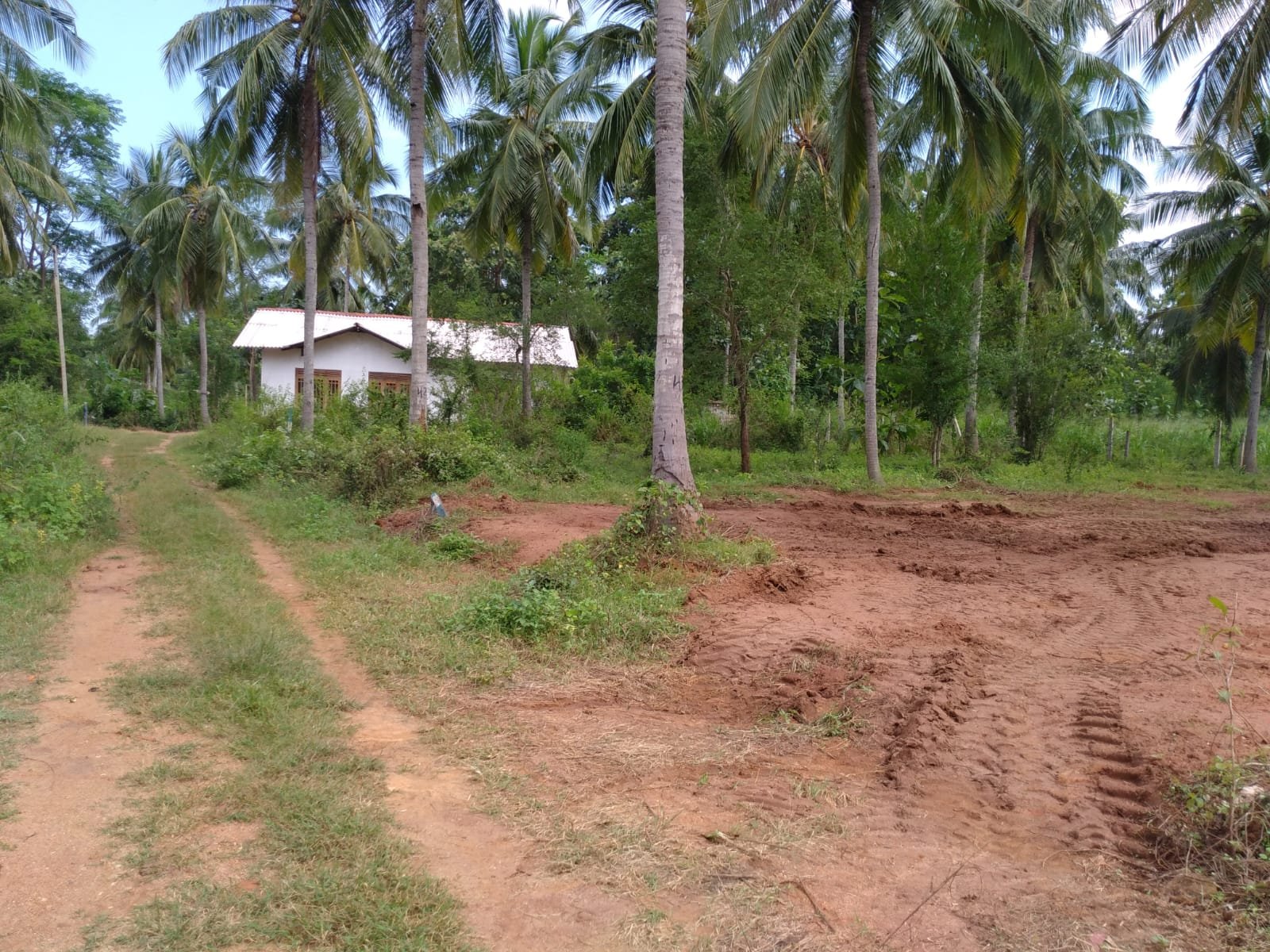 Land For Sale In Kolmbageara
