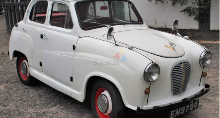 Austin A30 Car