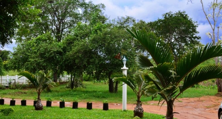 Bungalow For Rent Anuradhapura