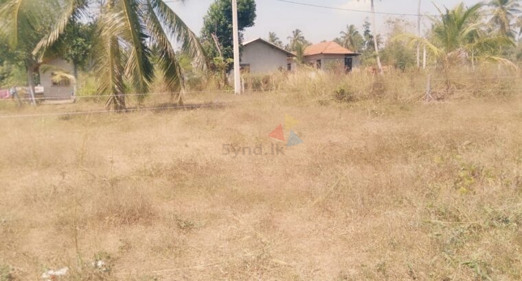 Land For Sale In Negombo