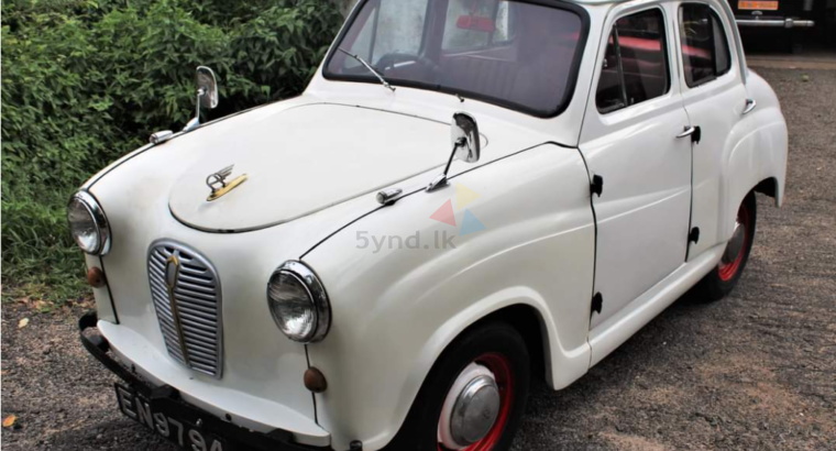 Austin A30 Car