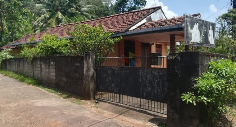 Small House with Land for Sale