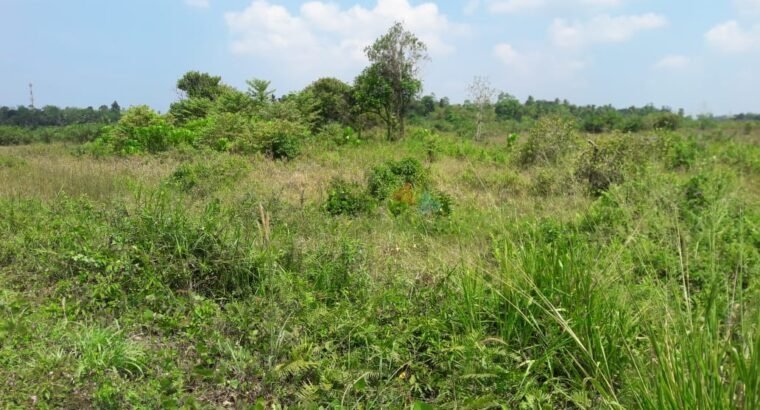 Land For Sale In Moronthuduwa