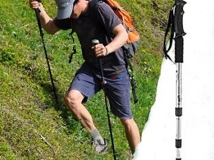 Hiking Stick