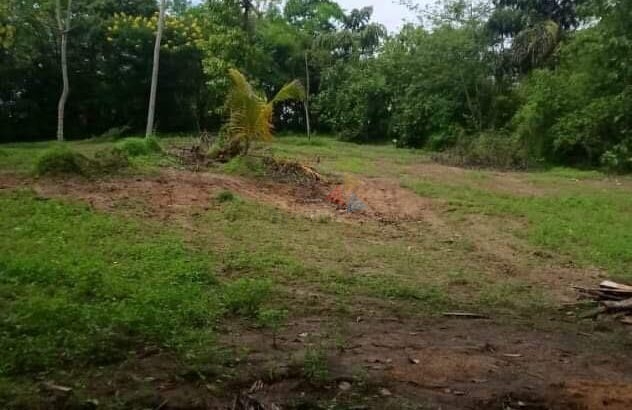 Land For Sale In Kandy