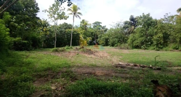 Land For Sale In Kandy